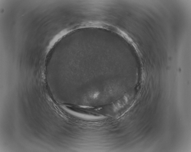 X0000085841312200703301635