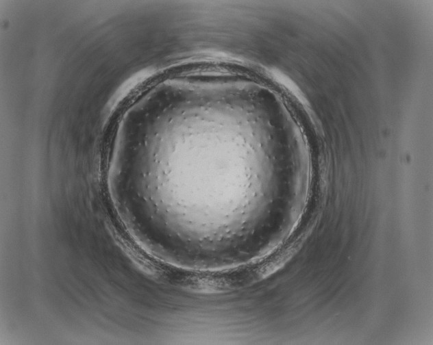 X0000085841318200703301635
