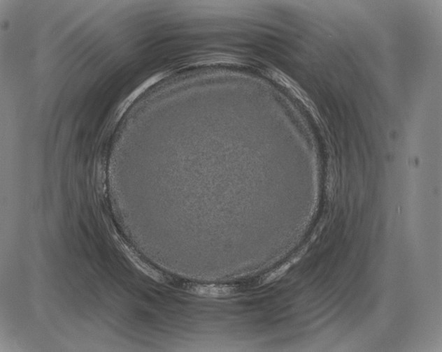 X0000085841321200703301635