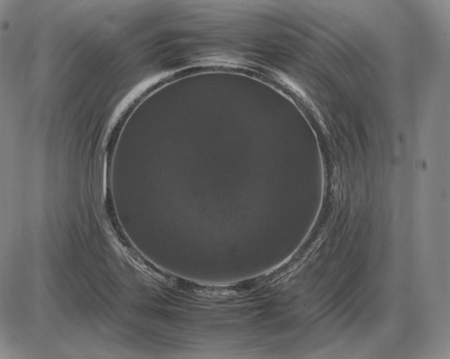 X0000085841323200703301635