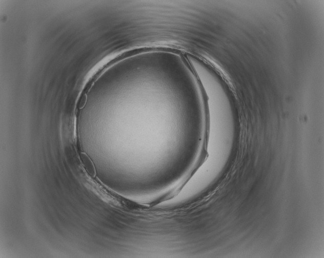 X0000085841324200703301635