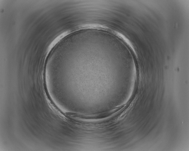 X0000085841330200703301635