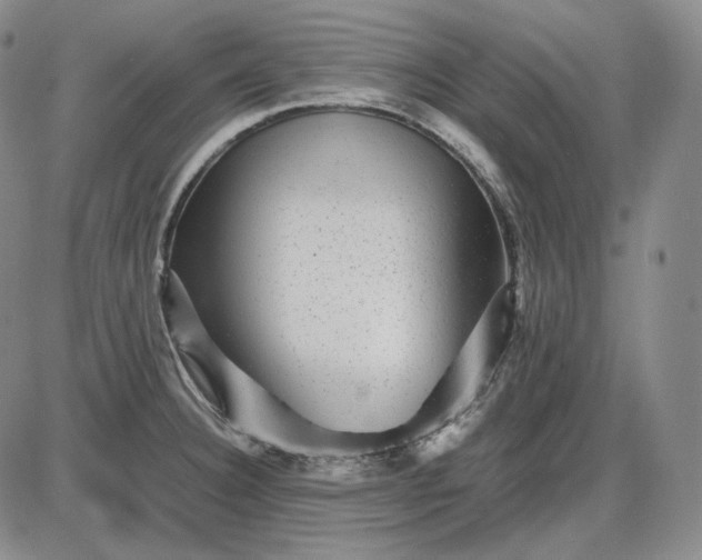 X0000085841332200703301635