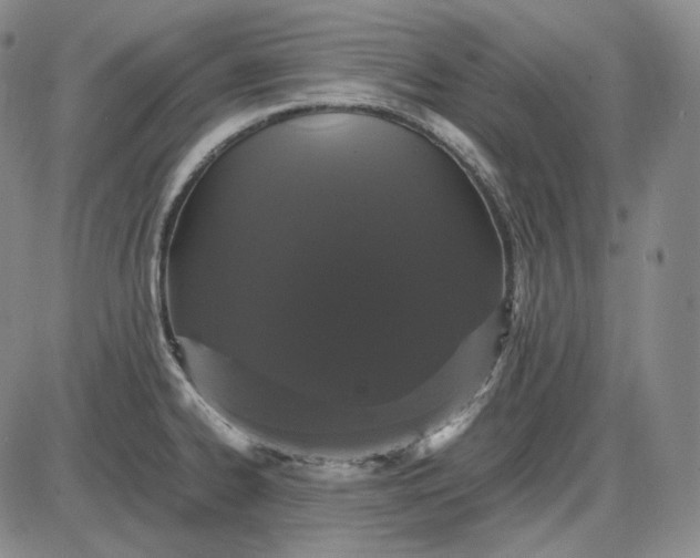 X0000085841334200703301635