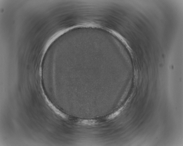 X0000085841335200703301635