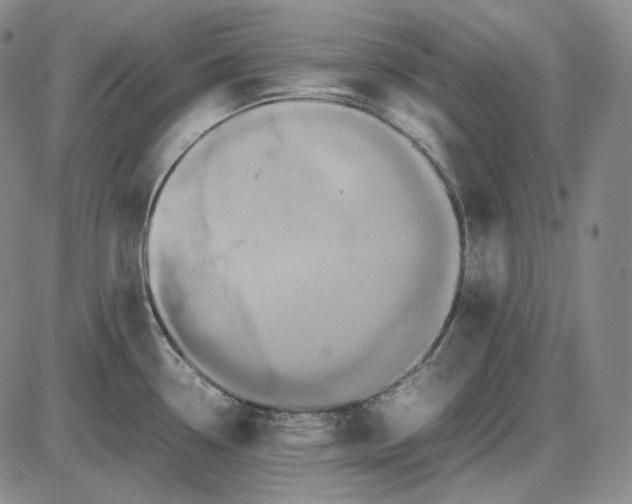 X0000085841338200703301635