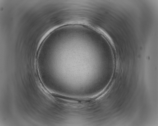 X0000085841340200703301635