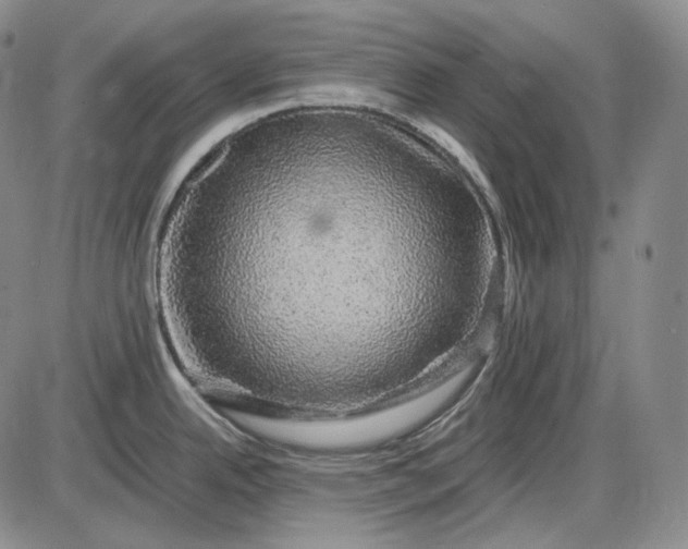 X0000085841342200703301635