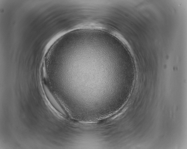 X0000085841344200703301635