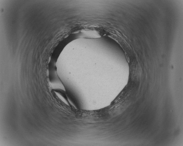 X0000085841345200703301634