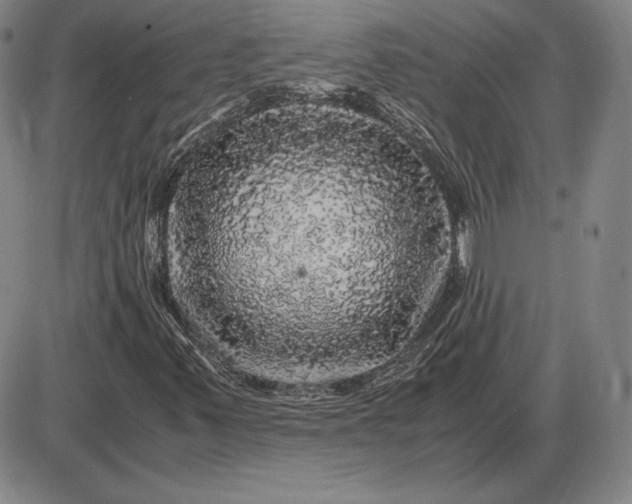 X0000085841347200703301634