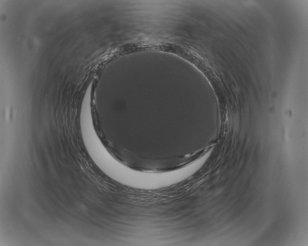 X0000085841348200703301634
