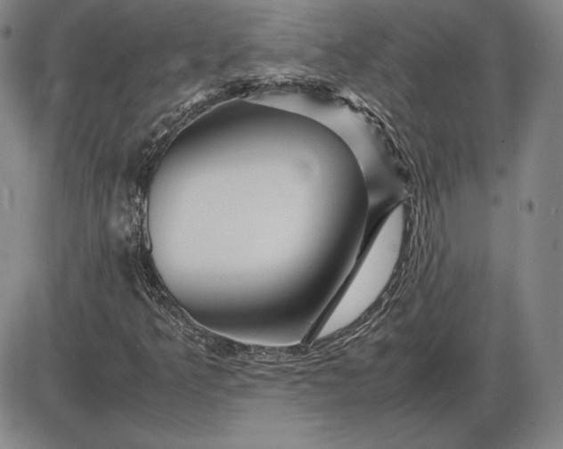 X0000085841349200703301634