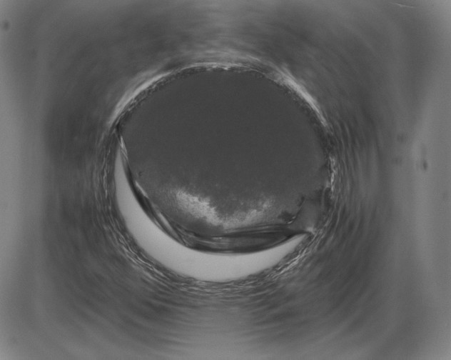 X0000085841352200703301634
