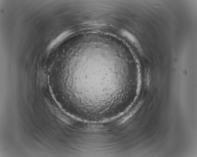 X0000085841354200703301634