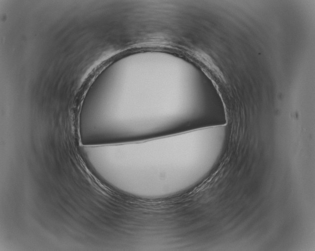 X0000085841356200703301634