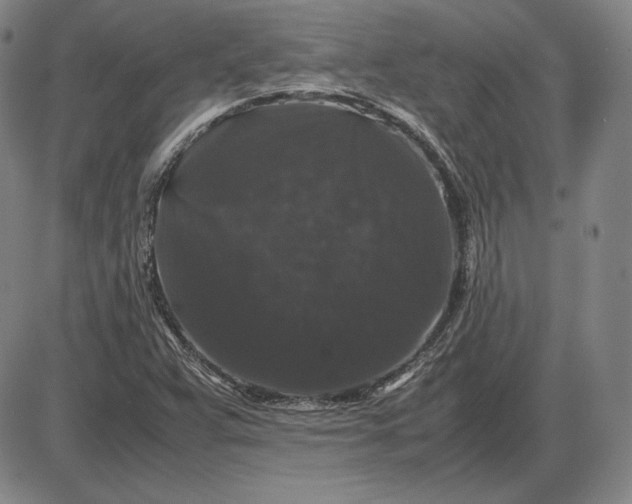 X0000085841359200703301634