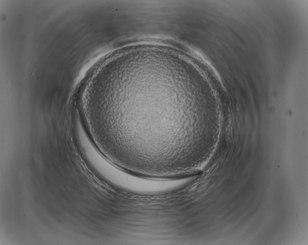 X0000085841360200703301634
