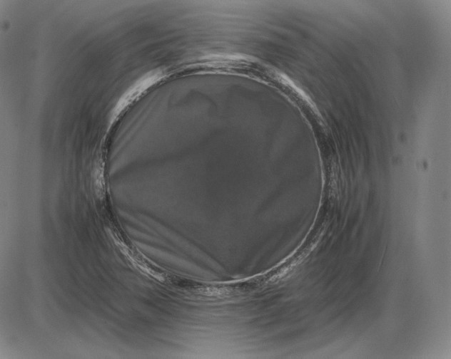 X0000085841362200703301634