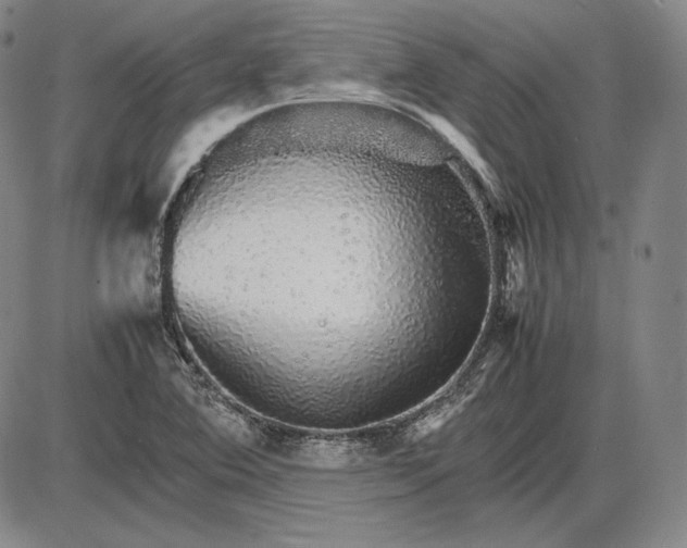 X0000085841364200703301634