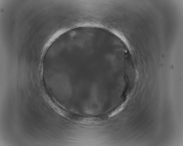 X0000085841367200703301634