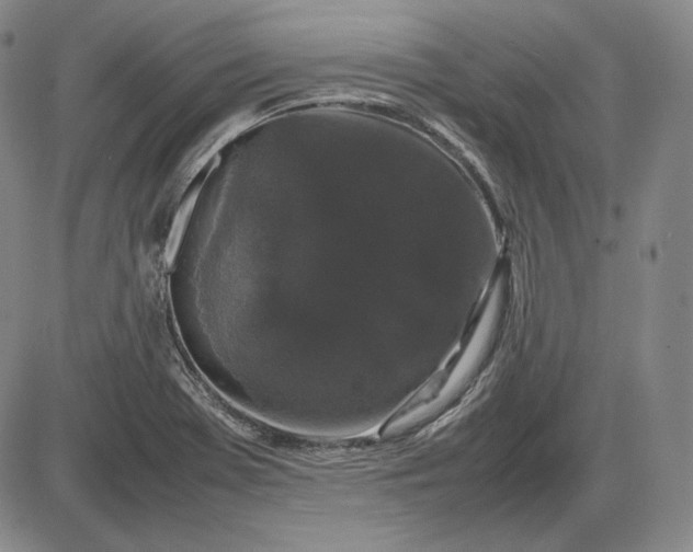 X0000085841369200703301634