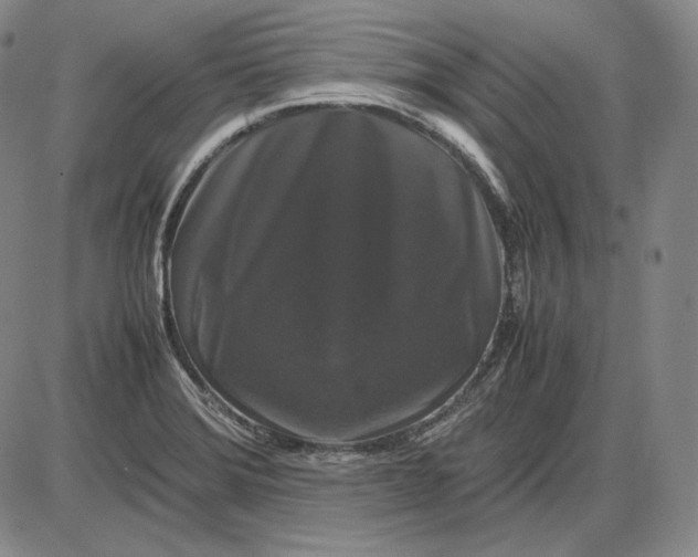 X0000085841372200703301634