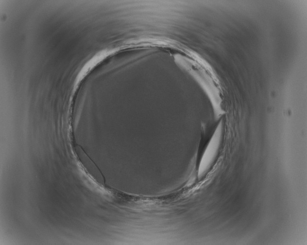 X0000085841373200703301634