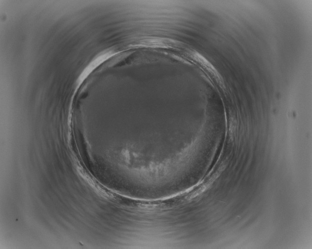 X0000085841378200703301634