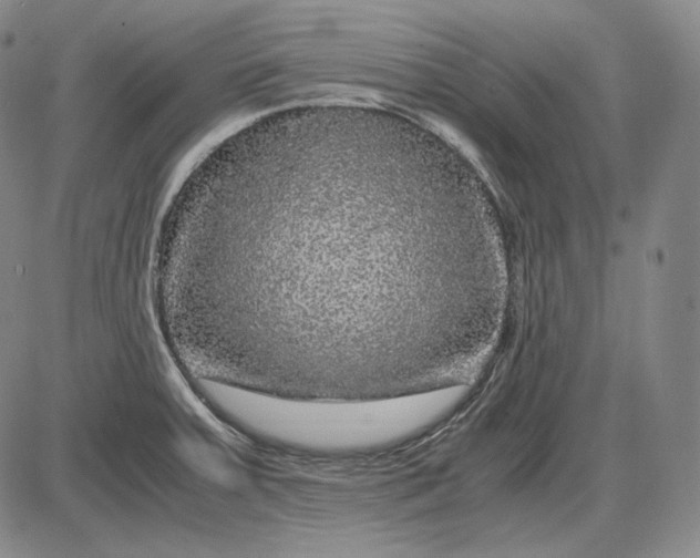 X0000085841379200703301634