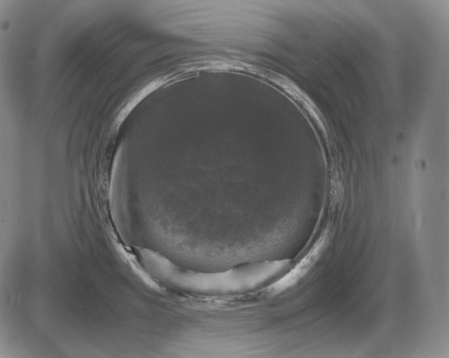 X0000085841385200703301634