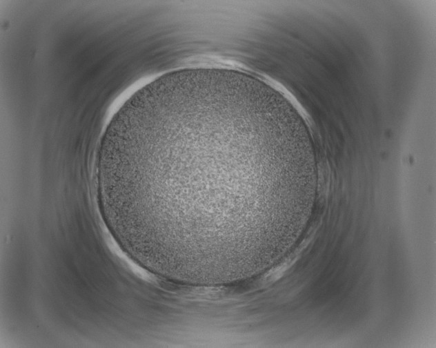 X0000085841387200703301634