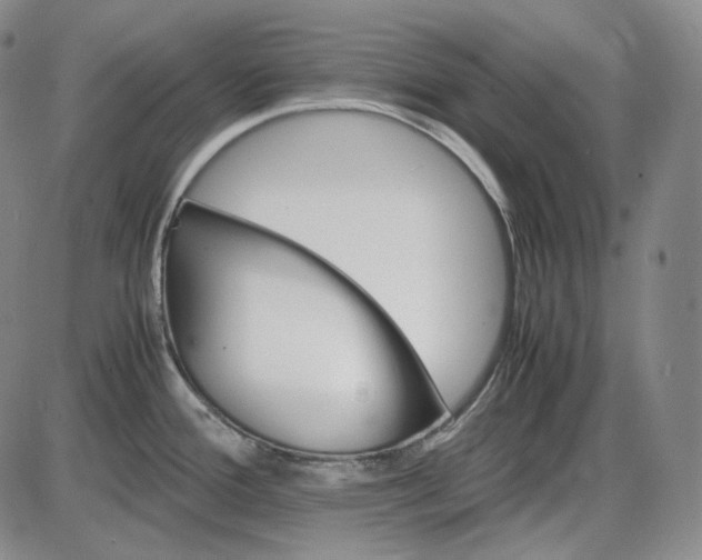 X0000085841388200703301634