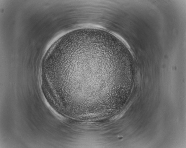 X0000085841391200703301633