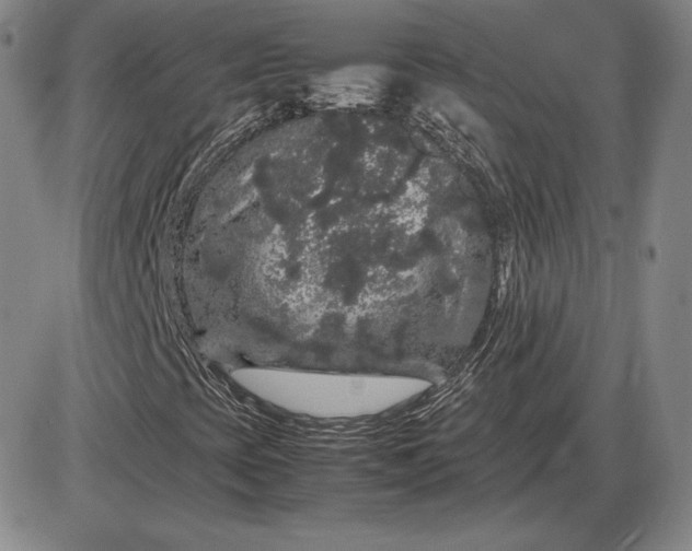 X0000085841393200703301633