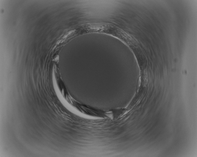 X0000085841394200703301633