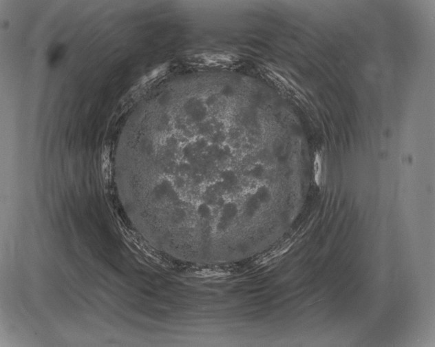X0000085841395200703301633