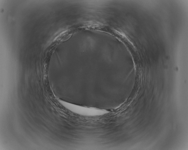 X0000085841399200703301633
