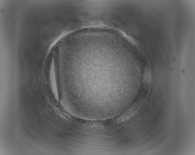 X0000085841400200703301633