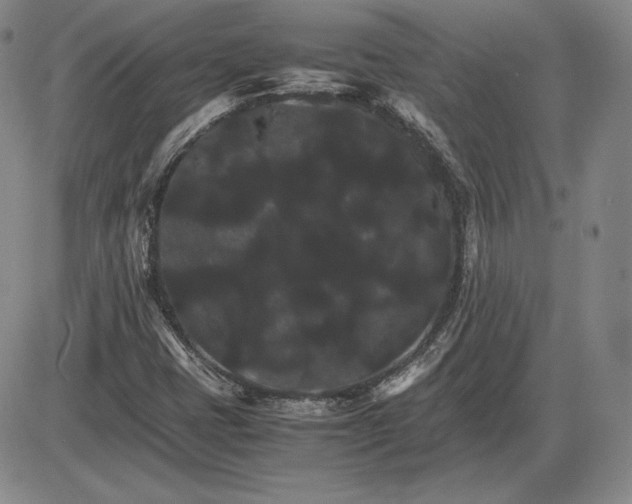 X0000085841401200703301633