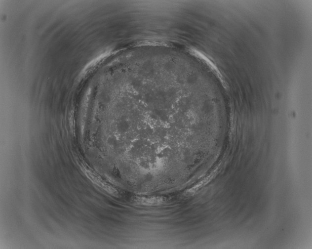X0000085841403200703301633