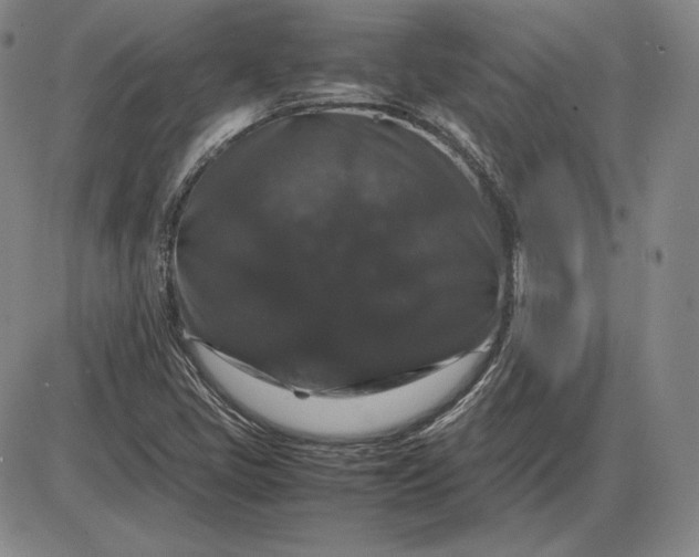 X0000085841405200703301633