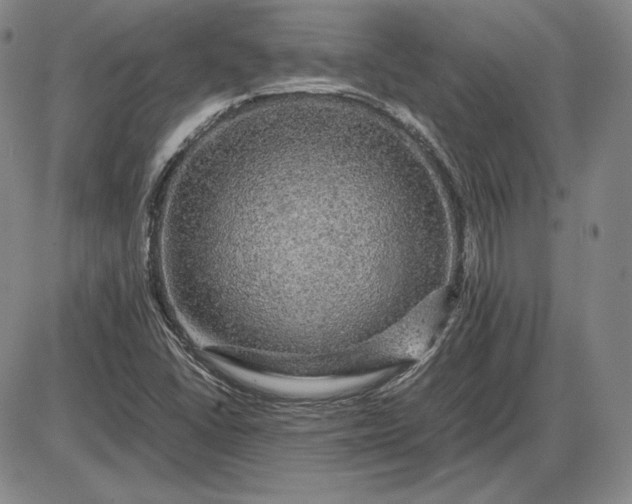 X0000085841406200703301633