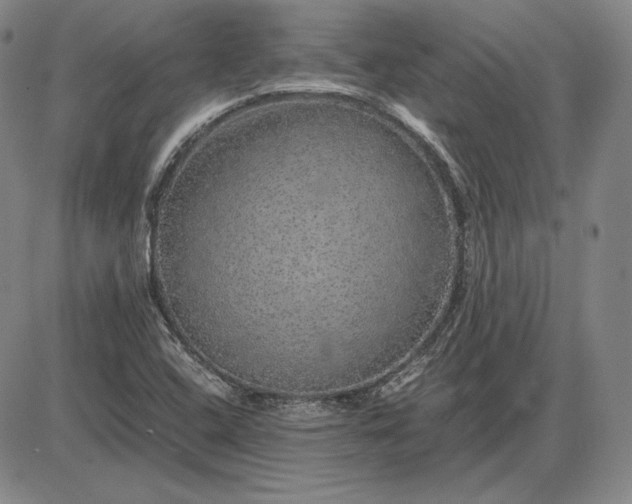 X0000085841408200703301633