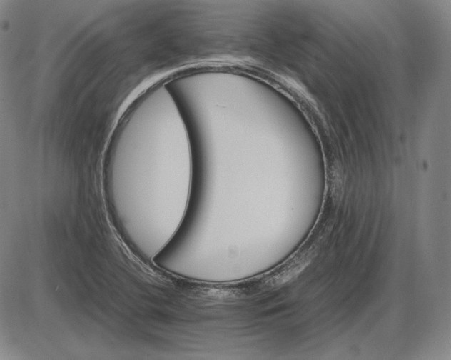 X0000085841412200703301633