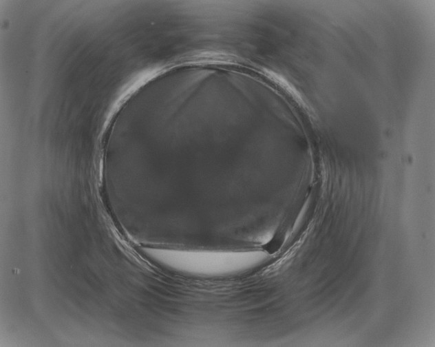 X0000085841413200703301633