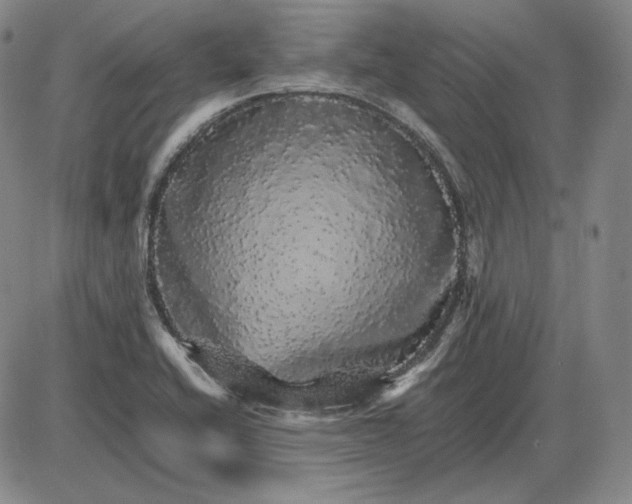 X0000085841416200703301633