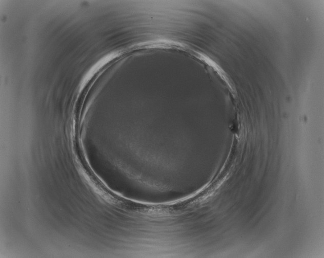 X0000085841418200703301633