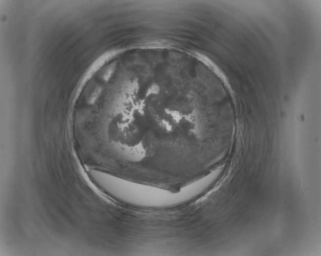 X0000085841429200703301633