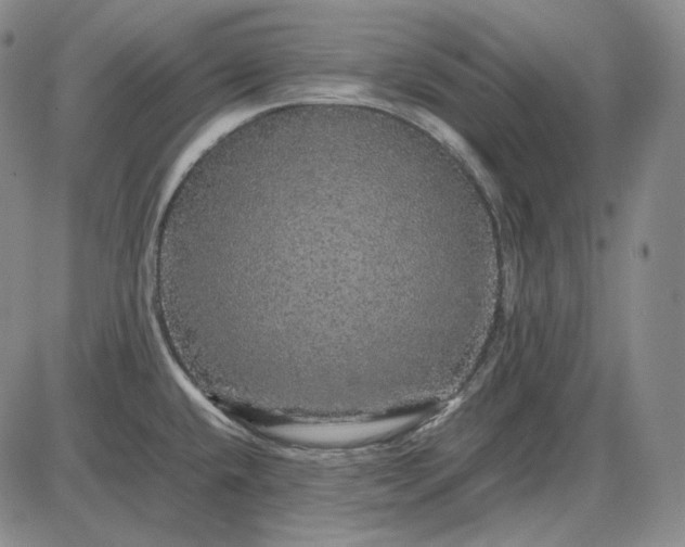 X0000085841432200703301633